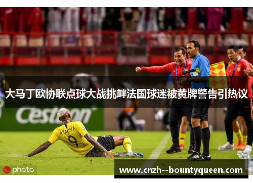 大马丁欧协联点球大战挑衅法国球迷被黄牌警告引热议